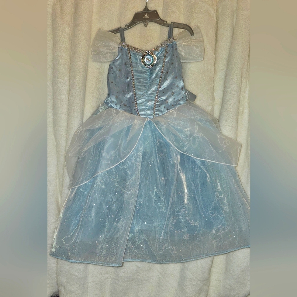 Disney Cinderella Costume